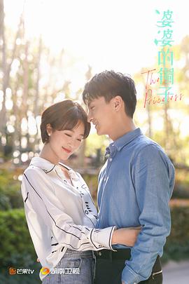 婆婆的镯子 第12集