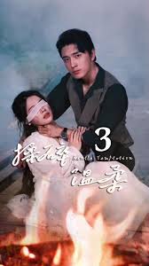 揉碎温柔 全集(大结局)