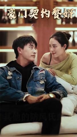 豪门契约赘婿 全集(大结局)