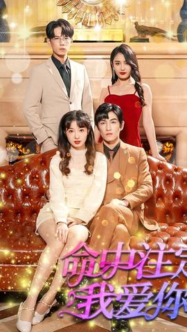 我爱你命中注定 全集(大结局)