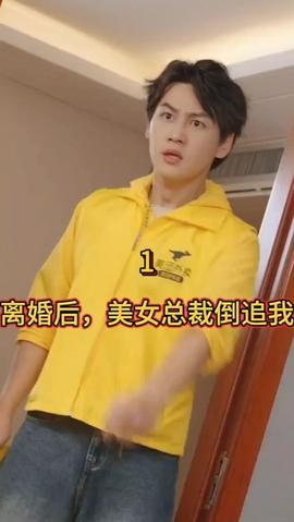 离婚后，美女总裁倒追我 全集(大结局)