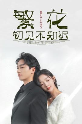 繁花初见不知迟 全集(大结局)