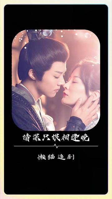 情深只恨相逢晚 全集(大结局)