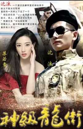 神级龙卫 1-20集