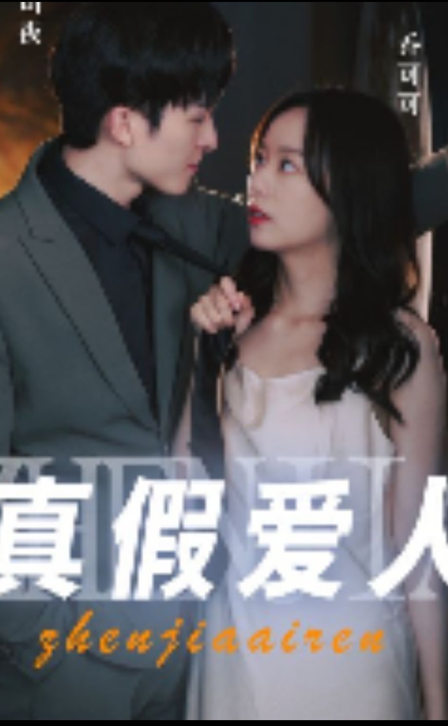 真假爱人 21-40集