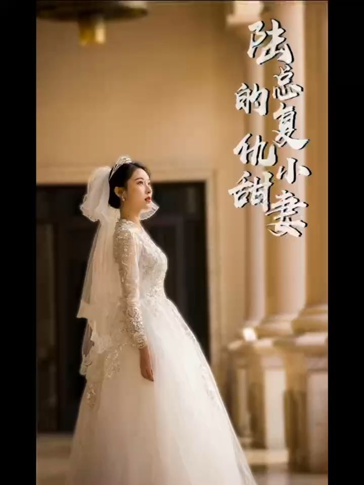 陆总的复仇小甜妻 1-20集