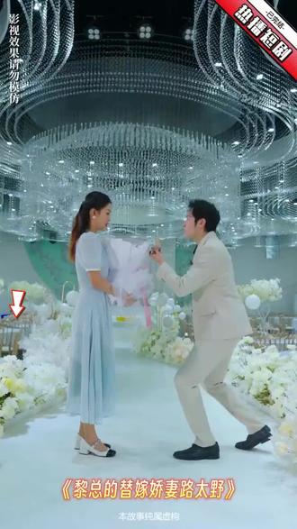 黎总的替嫁娇妻路太野 1-10集