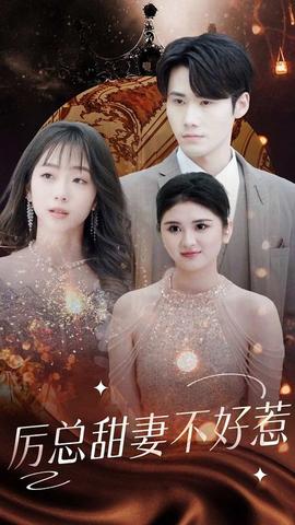 历总前妻不好惹 全集(大结局)