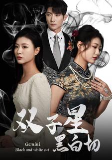 双子星黑白切 全集(大结局)