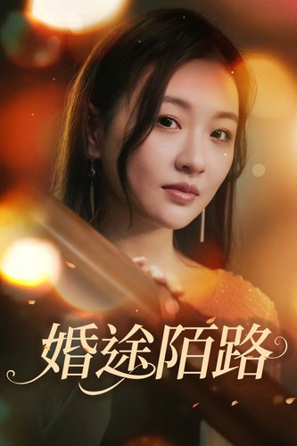 婚途陌路 全集(大结局)