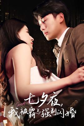 七夕夜我被霸总强制闪婚 全集(大结局)