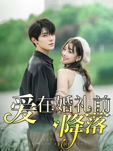爱在婚礼前降落 全集(大结局)