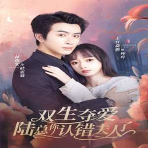 双生夺爱陆总你认错夫人了 全集(大结局)