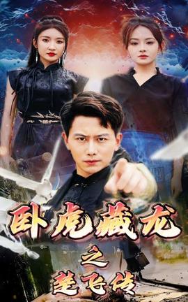 卧虎藏龙之楚飞传 全集(大结局)