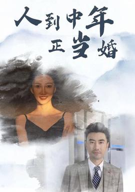 人到中年正当婚 全集(大结局)