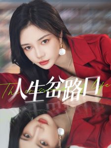 人生岔路口 全集(大结局)