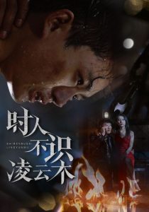 时人不识凌云木 全集(大结局)