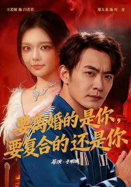 要离婚的是你，要复合的还是你(全集)